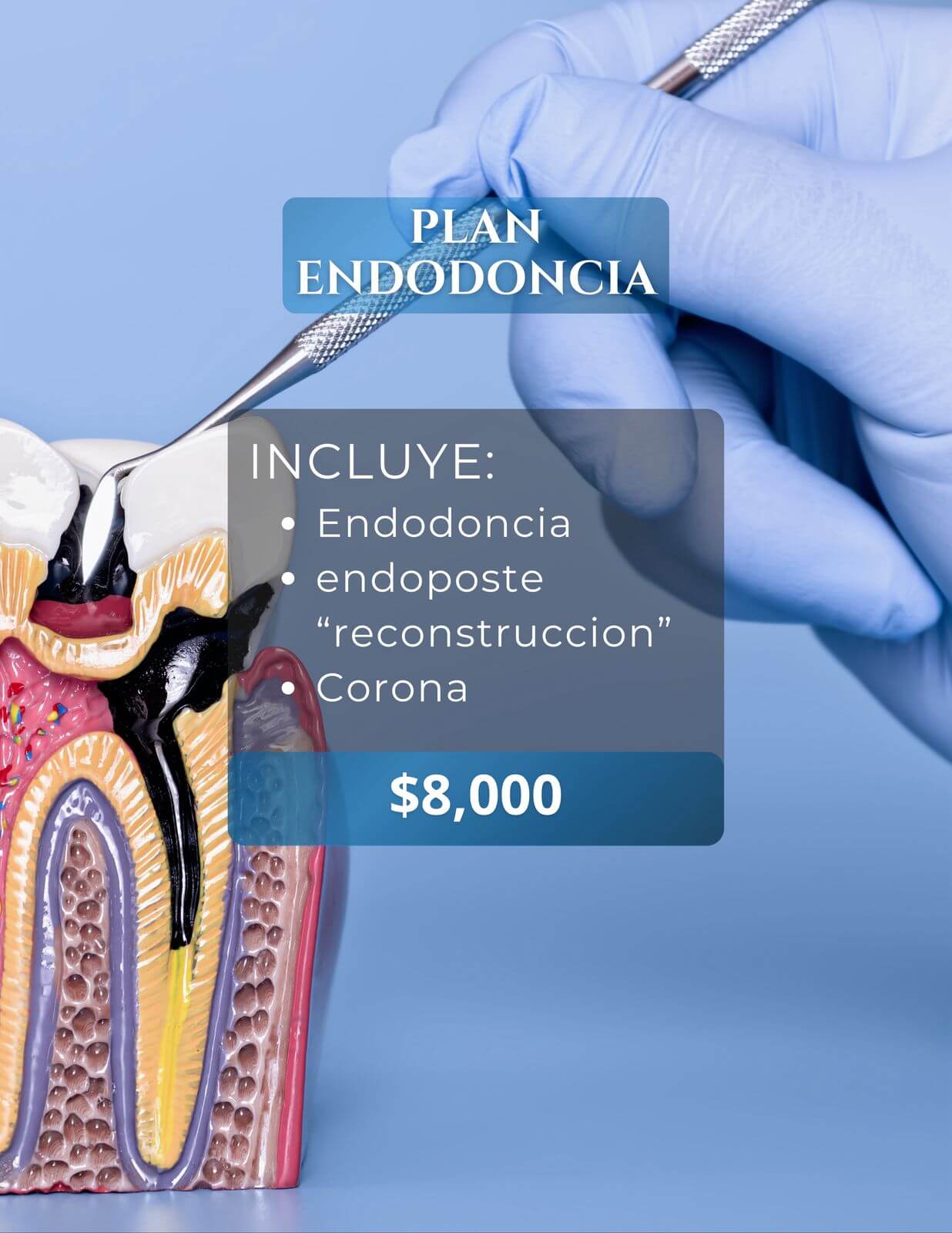 Promoción Estética Dental Center 7
